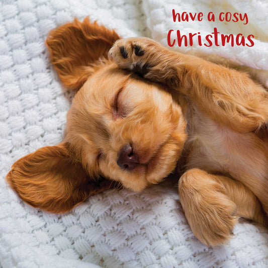 Cosy Christmas Christmas cards