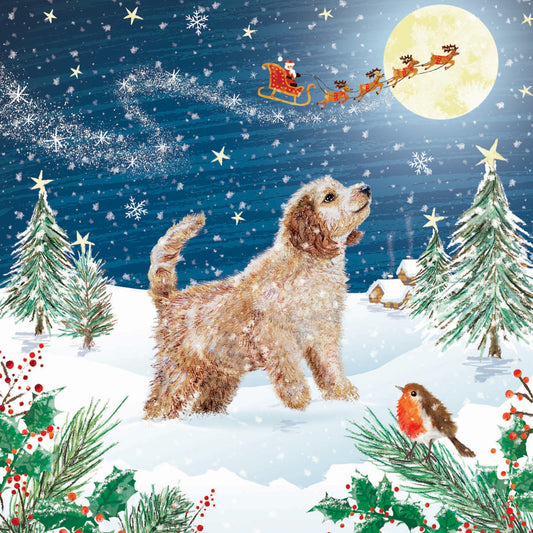 Watching the moon Christmas cards