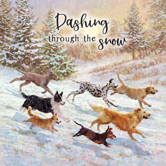 Dashing through the snow Christmas cards