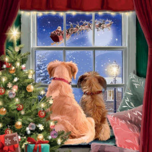 Watching in wonder Christmas cards