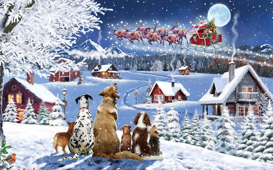 Watching the sleigh Christmas cards