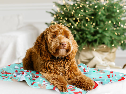 Supersoft festive dog blanket