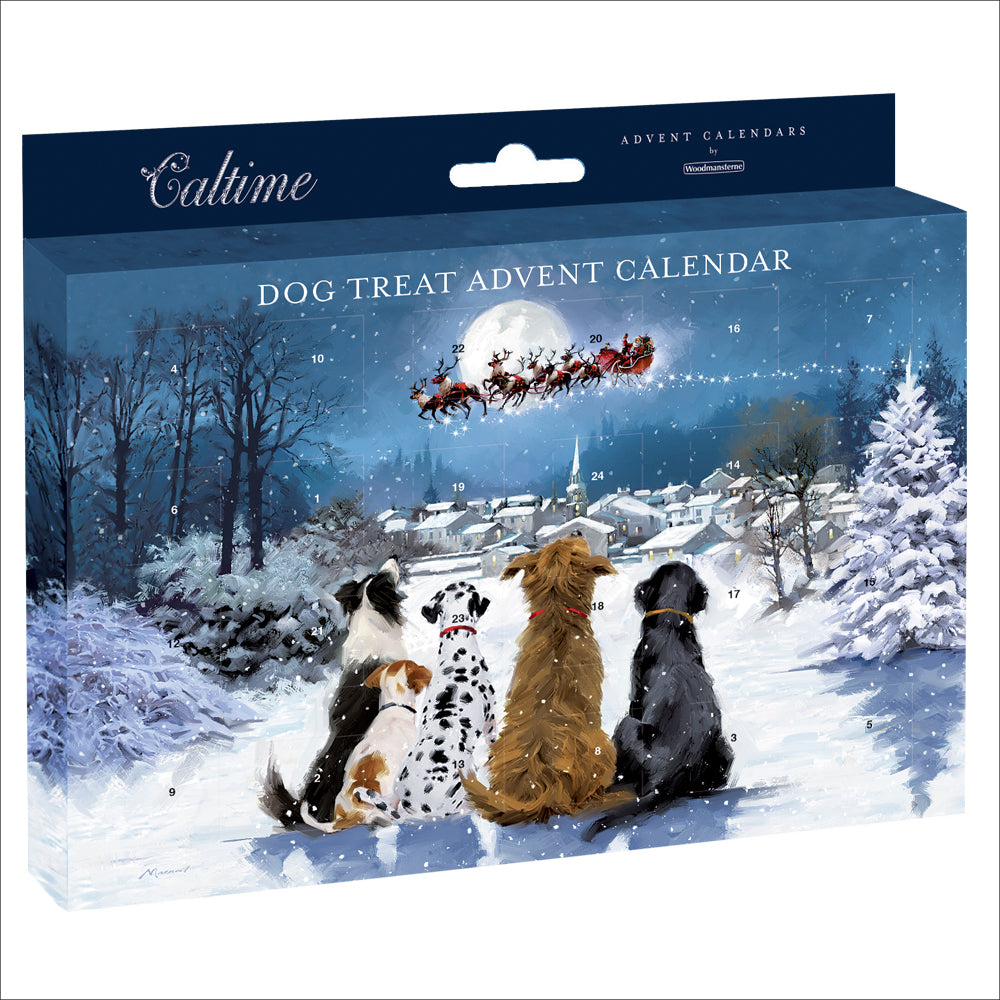Advent for your dog - Santa's sleigh