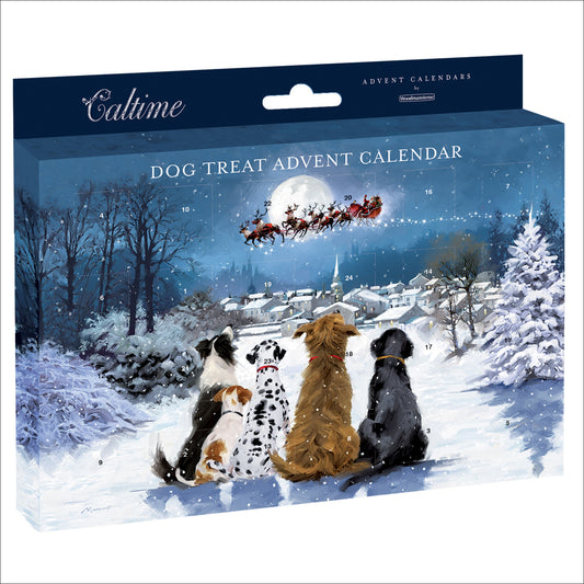 Advent for your dog - Santa's sleigh