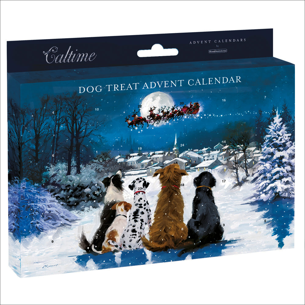 Advent for your dog - Santa's sleigh