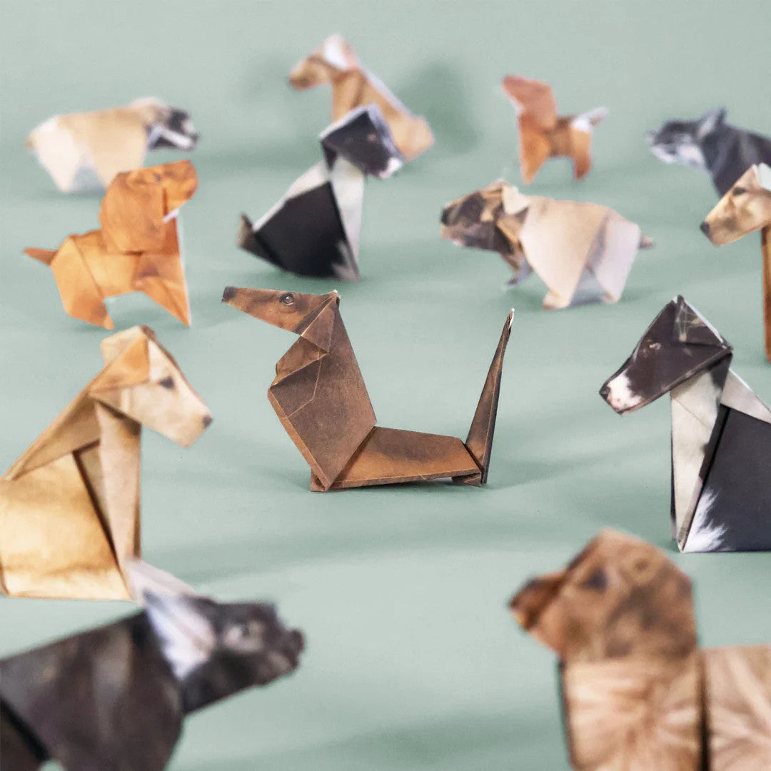 Paper pups