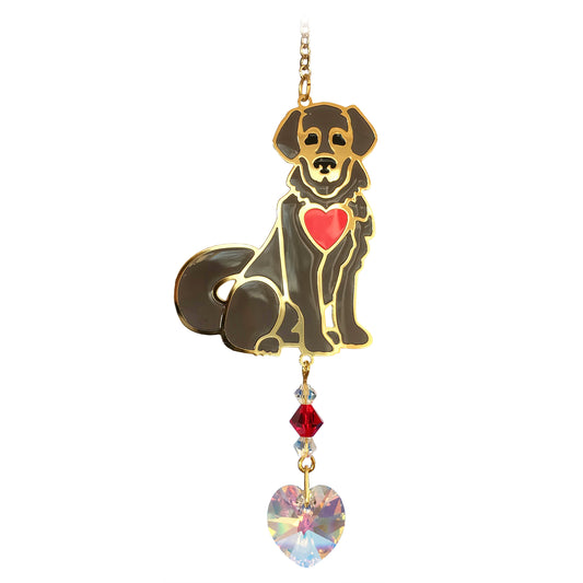 Crystal dreams pup