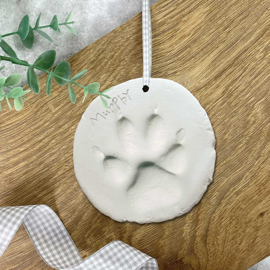 Pet paw clay moulding kit