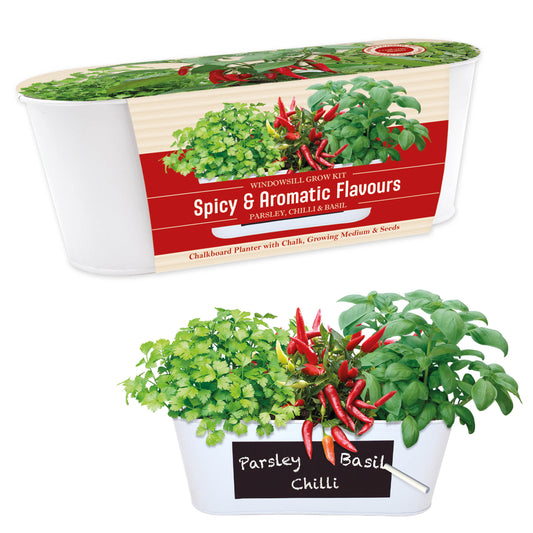 Spicy and aromatic herb growing set