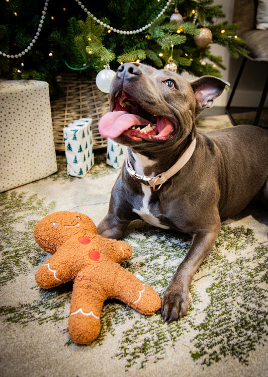Tufflove gingerbread man dog toy