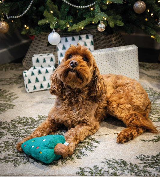 Tufflove christmas tree dog toy