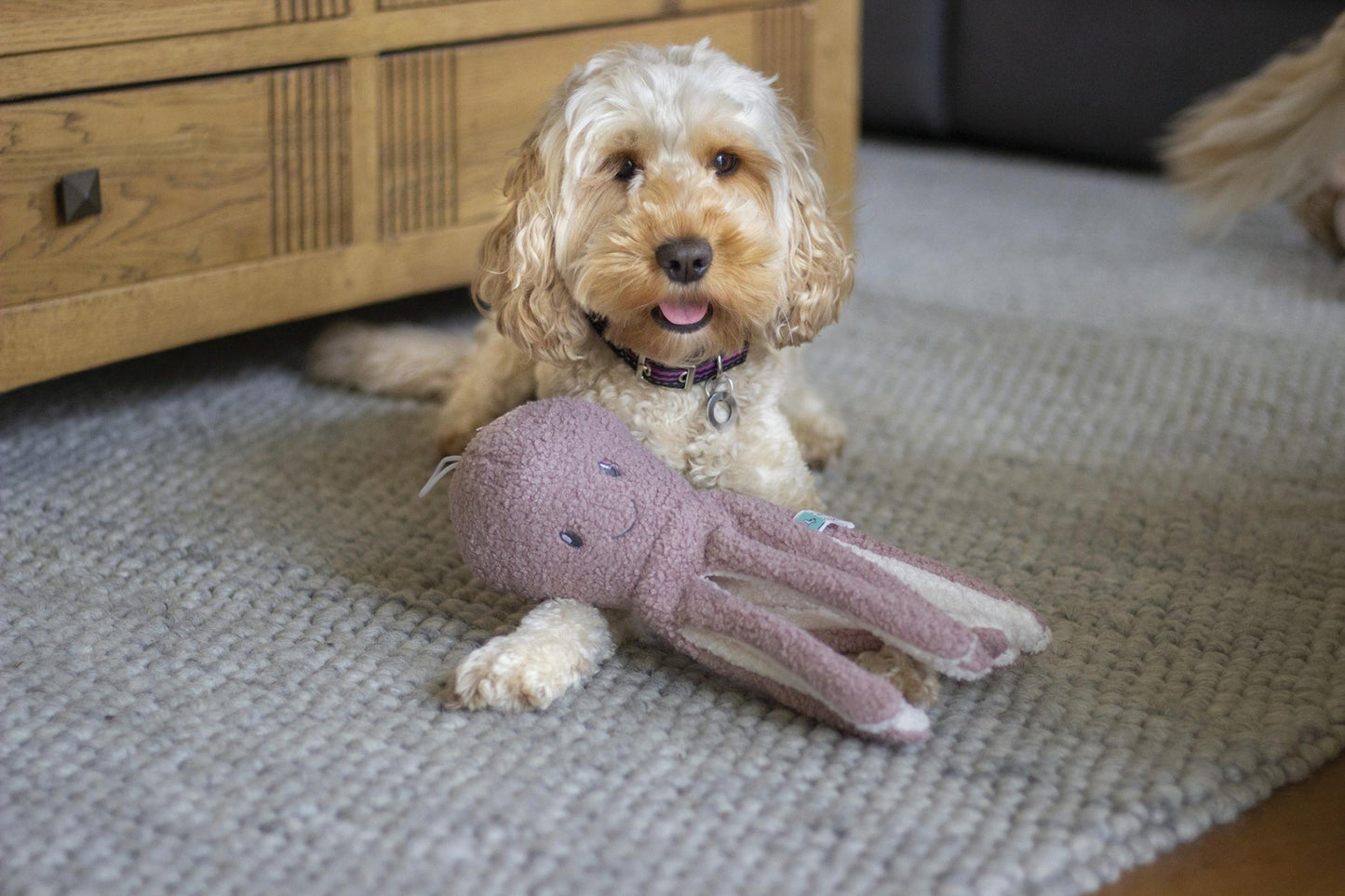 Tufflove octopus dog toy