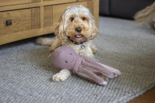 Tufflove octopus dog toy