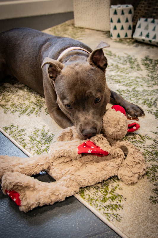 Rita reindeer dog toy