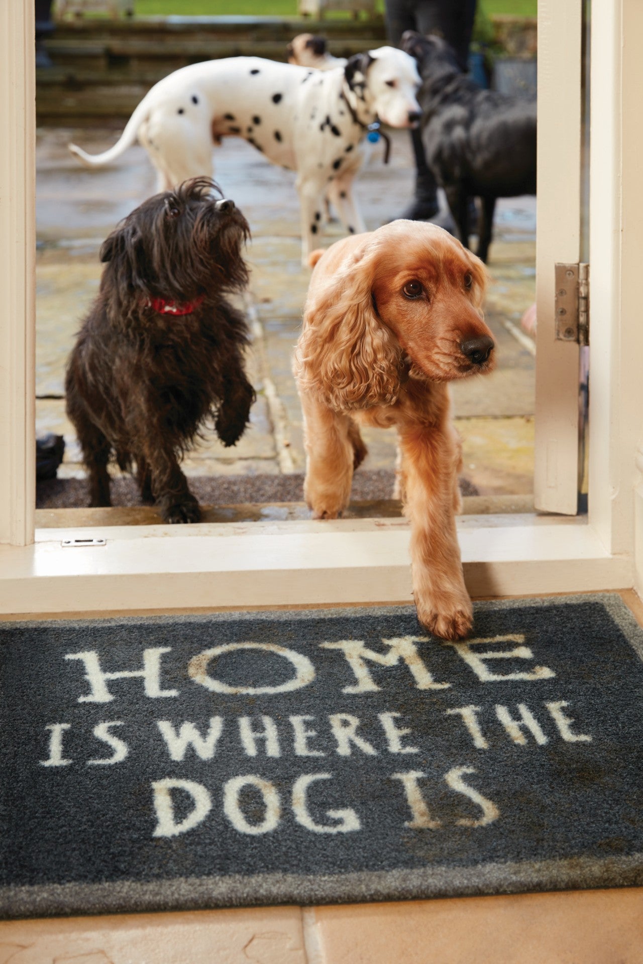 Home is where the dog is mat