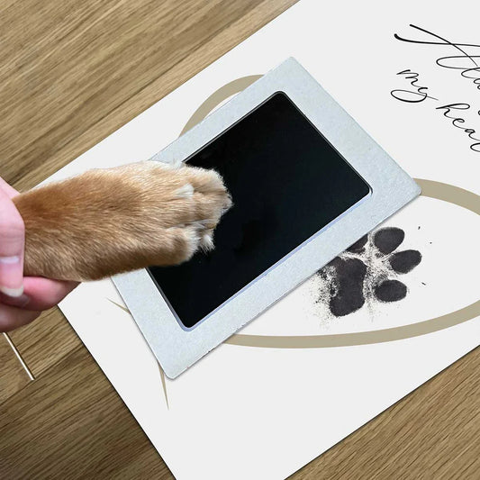 Framed paw print keepsake kit