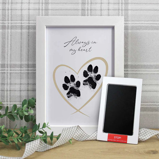 Framed paw print keepsake kit