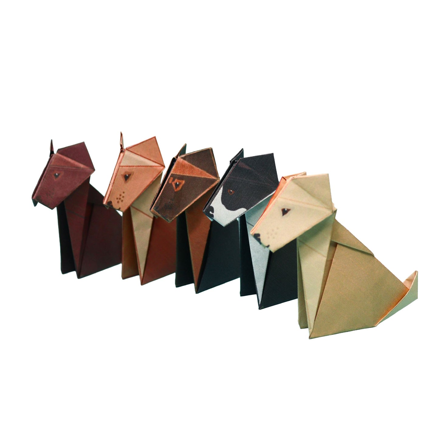 Dog origami
