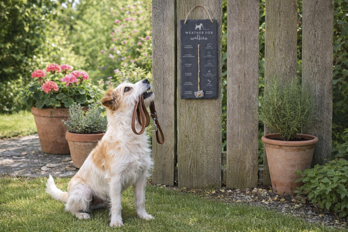 Weather for walkies slate sign