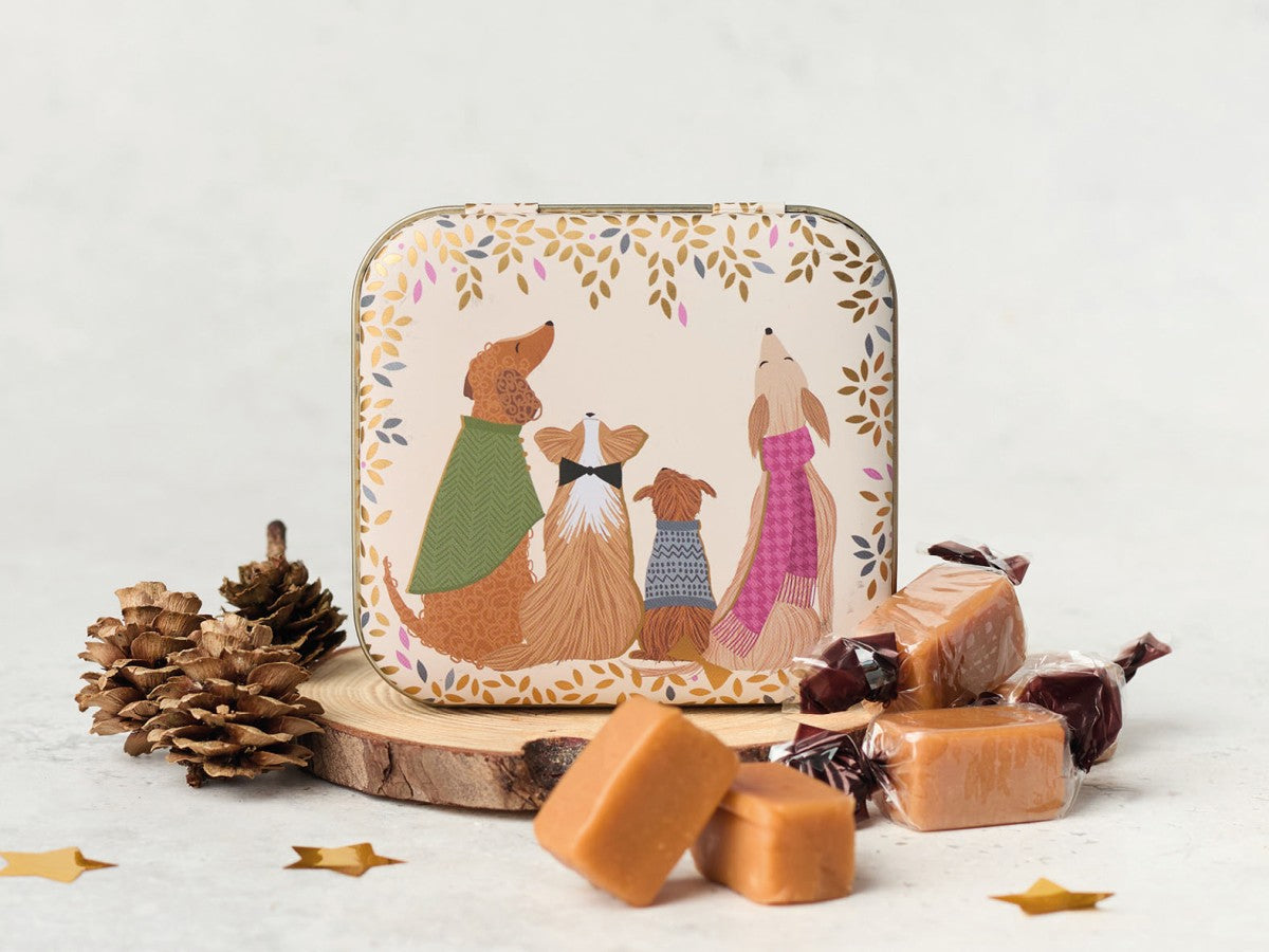 Sara Miller dapper dogs fudge tin