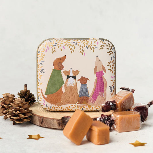 Sara Miller dapper dogs fudge tin