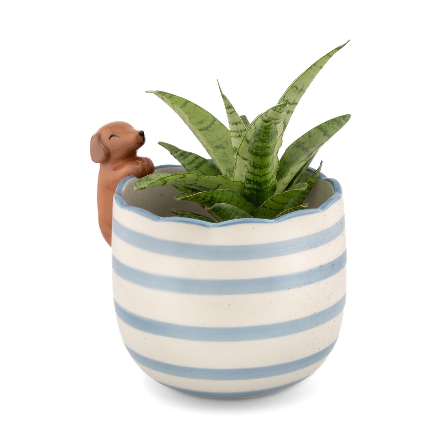 Peeking pup planter