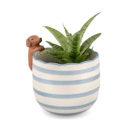 Peeking pup planter