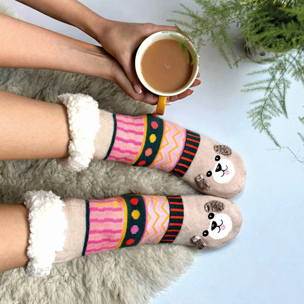 Dog house slipper socks