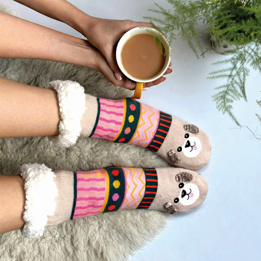 Dog house slipper socks
