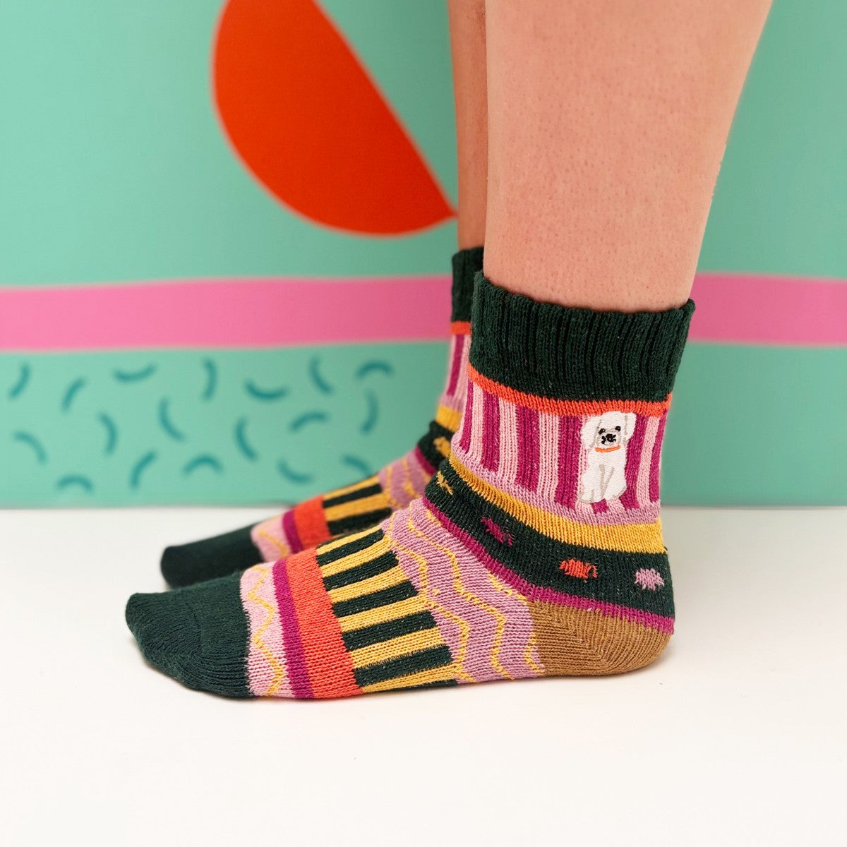 Dog house socks