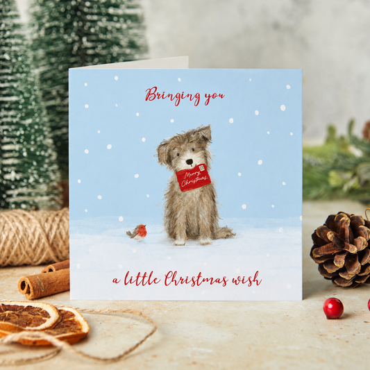 A little Christmas wish Christmas cards