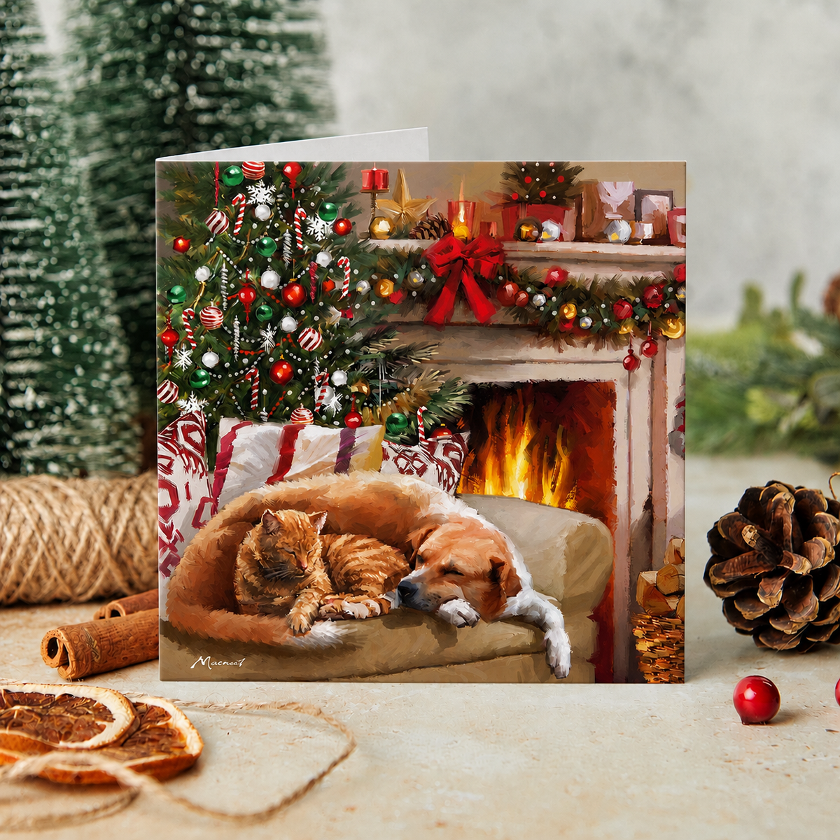 Fireside Cuddles Christmas cards