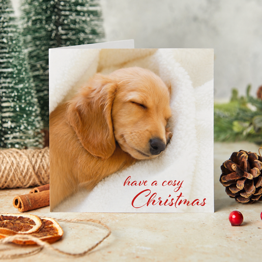 Cosy Christmas Christmas cards