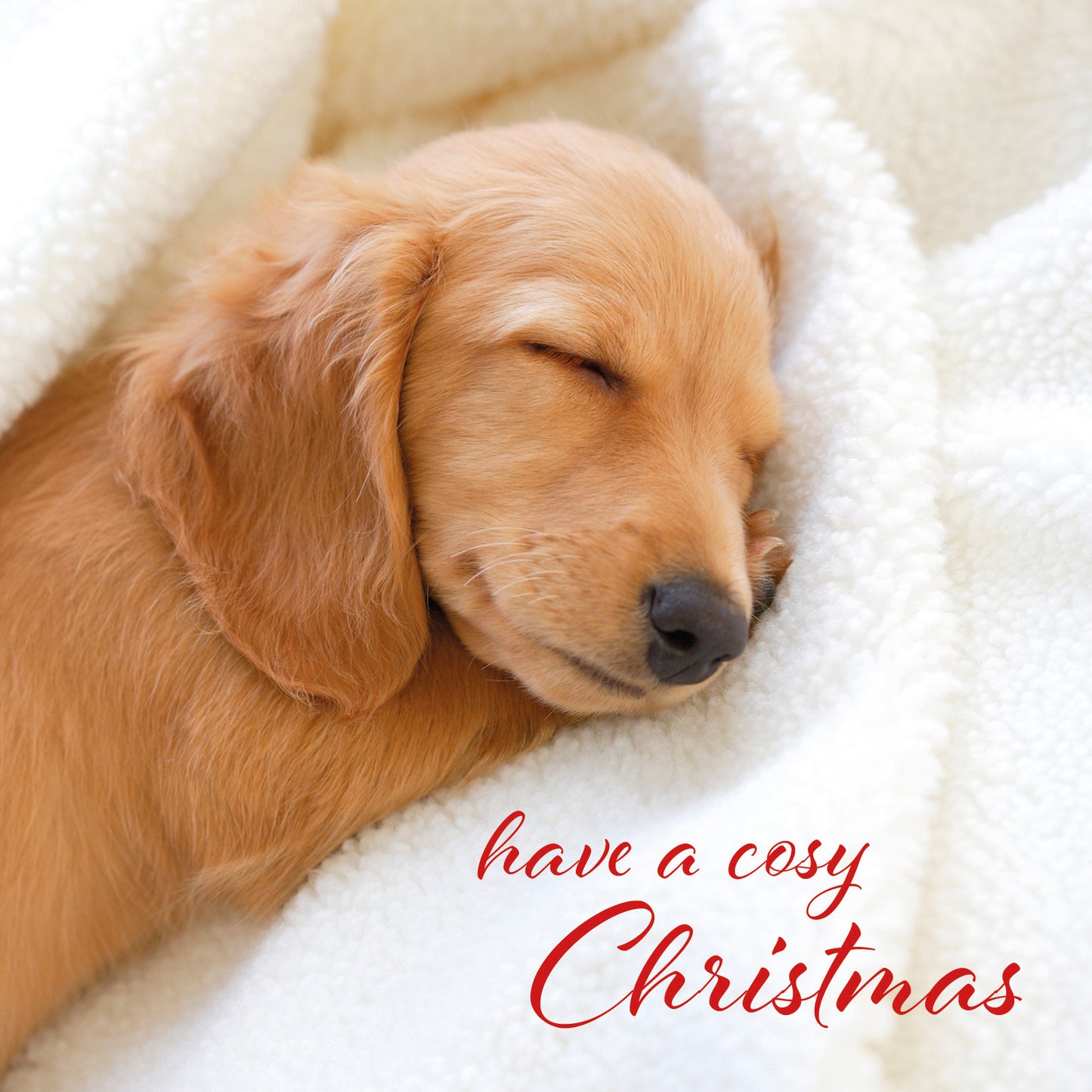 Cosy Christmas Christmas cards