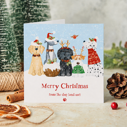 From the dog (and us) Christmas cards