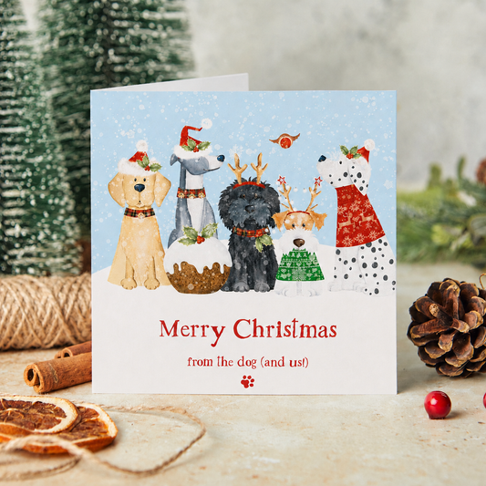 From the dog (and us) Christmas cards