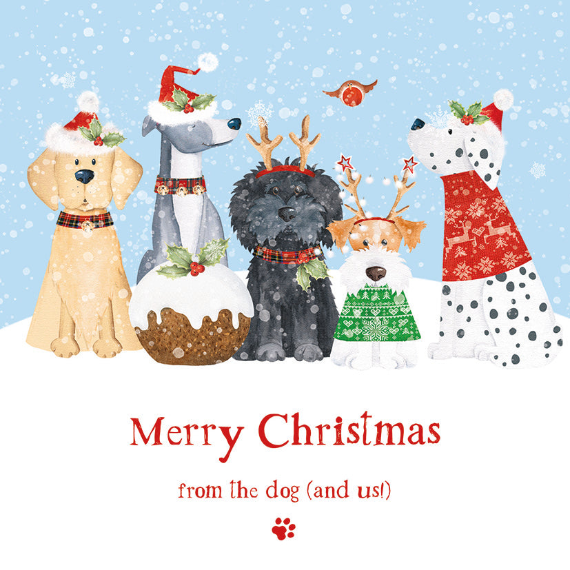 From the dog (and us) Christmas cards