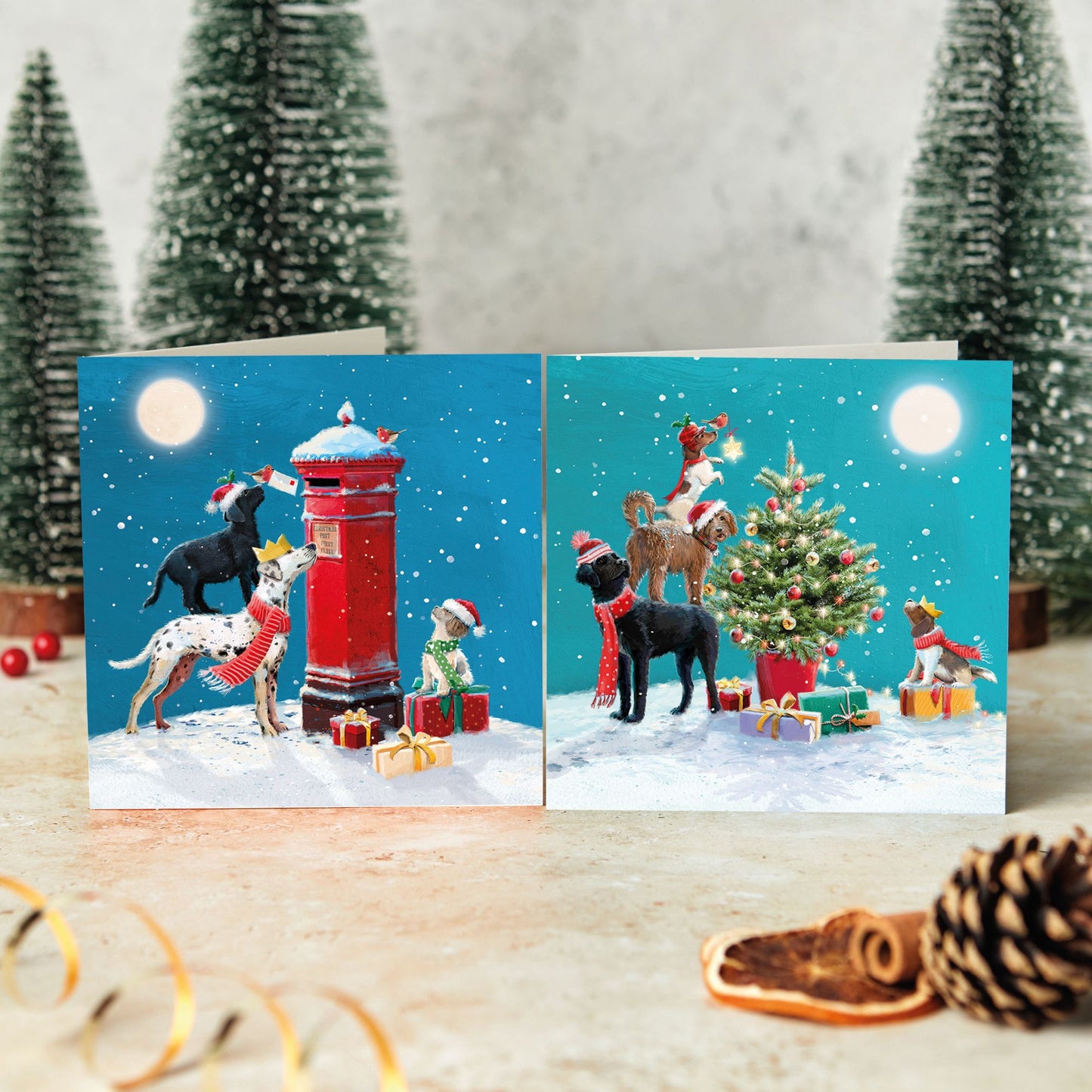 Festive teamwork! twin pack Christmas cards