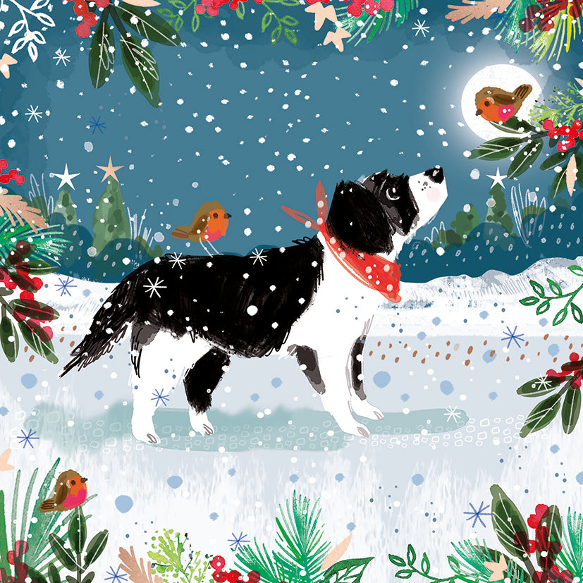 Moonlight meeting Christmas cards