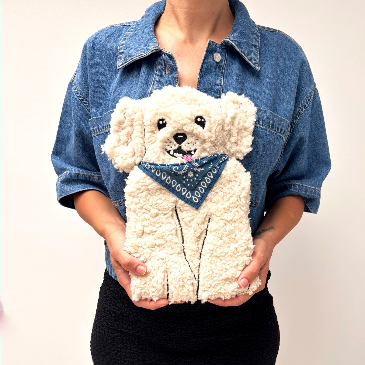 Doggy hot water bottle