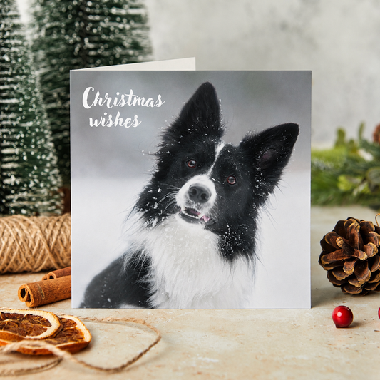 Christmas wishes collie Christmas cards