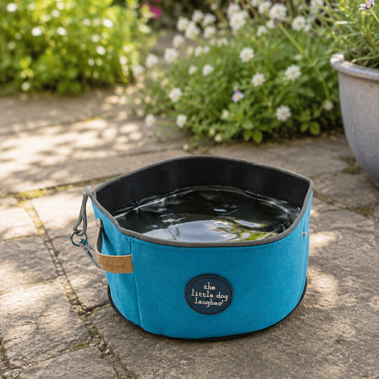 Dog travel bowl - blue