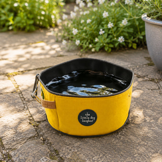Dog travel bowl - yellow