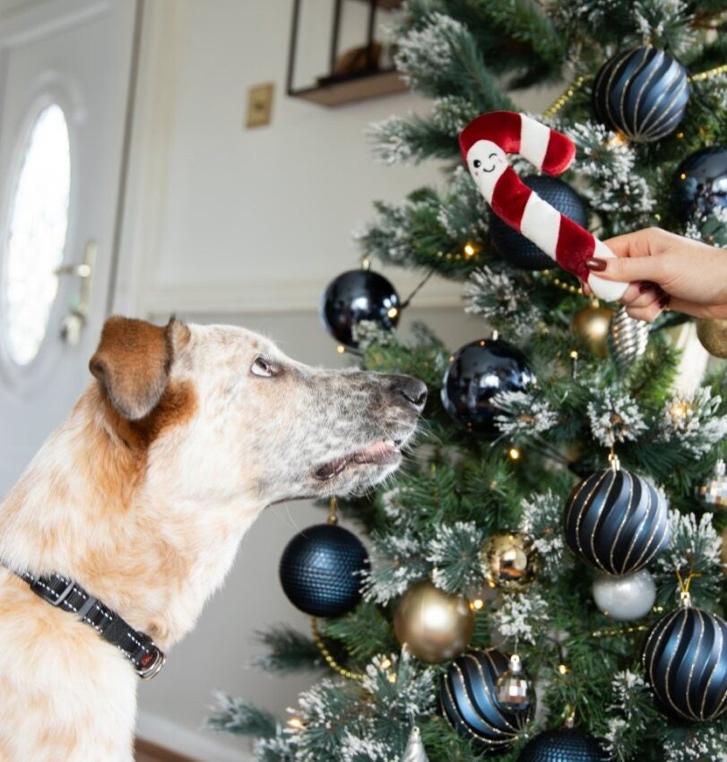 Christmas dinner dog stocking