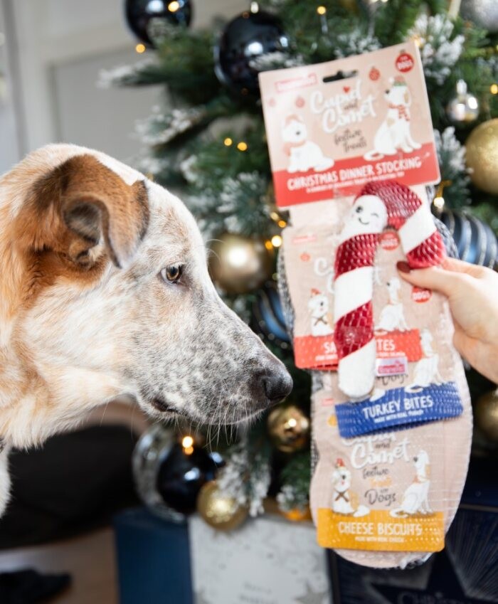 Christmas dinner dog stocking