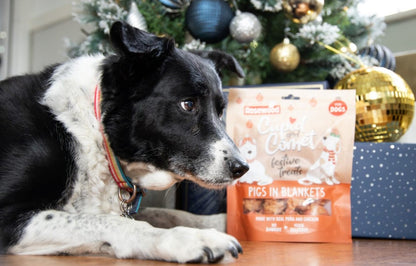 Pigs in blankets dog treats