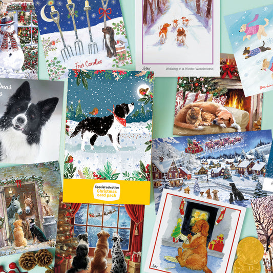 Dogs Trust Special Selection Card Pack