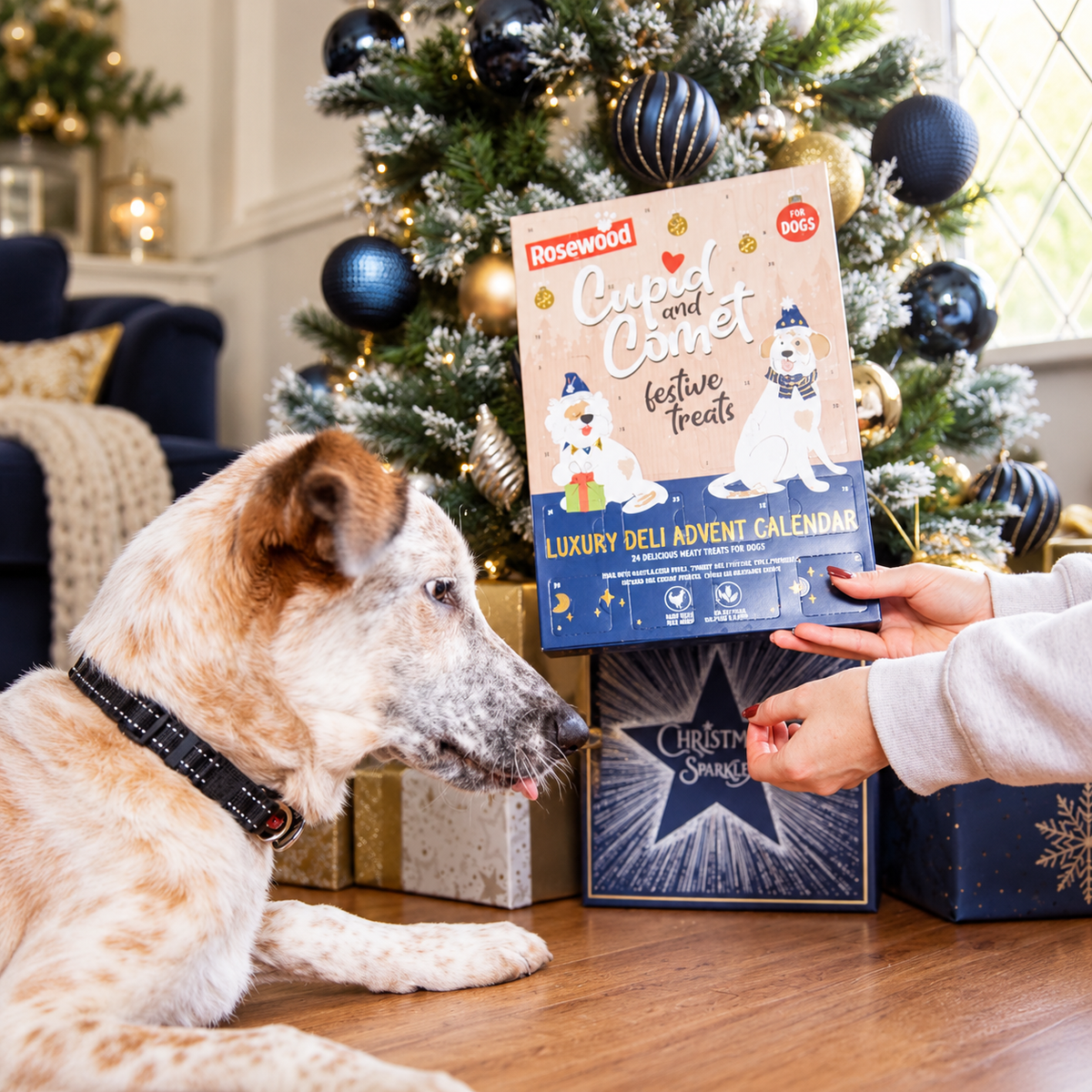 Luxury deli advent calendar for your dog