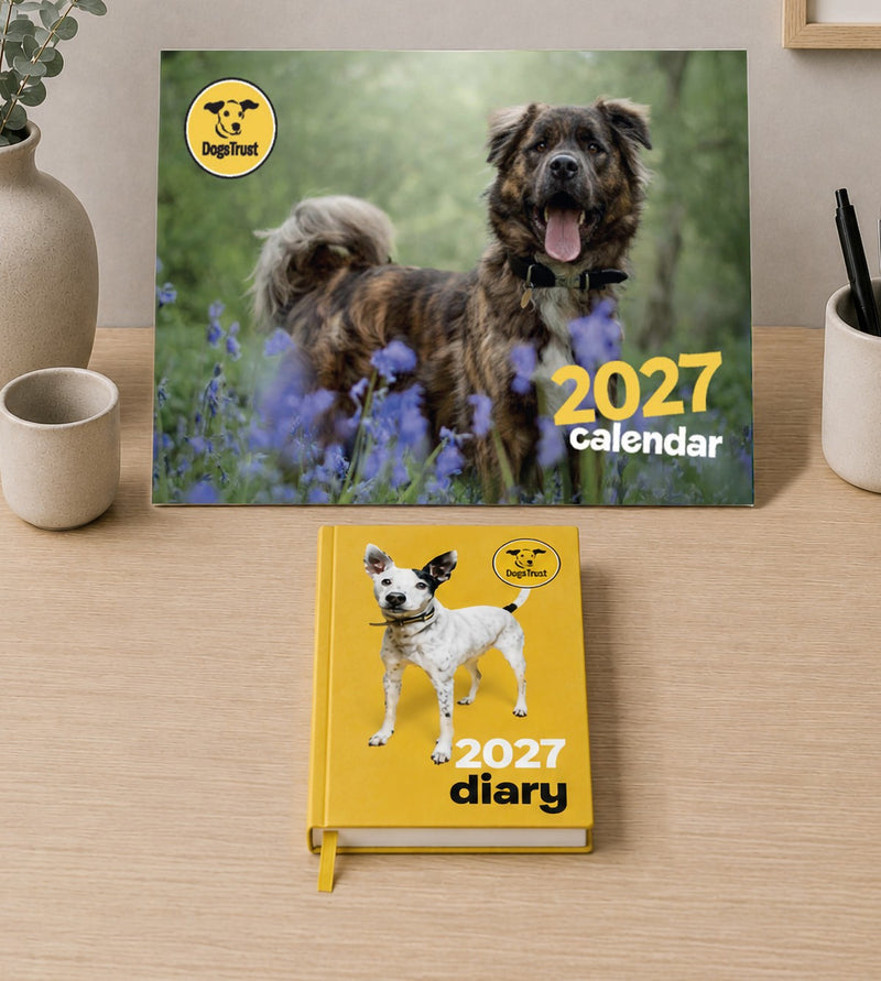 Calendars & diaries
